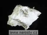 allargentum
