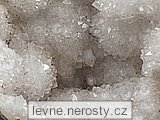 kemen
