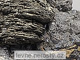 pyrhotin