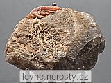 cerusit